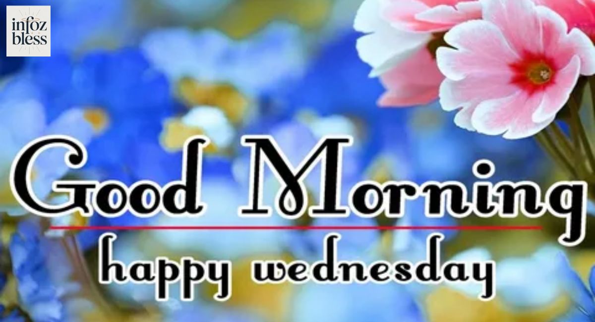 200+ Good Morning and Happy Wednesday