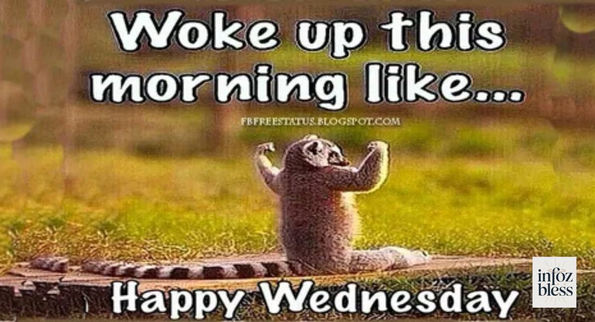 Funny and Light-hearted Good Morning Wednesday Messages