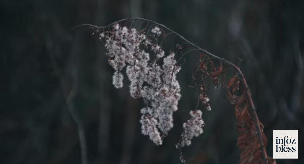 H2: Poetic Compliments Inspired by Nature