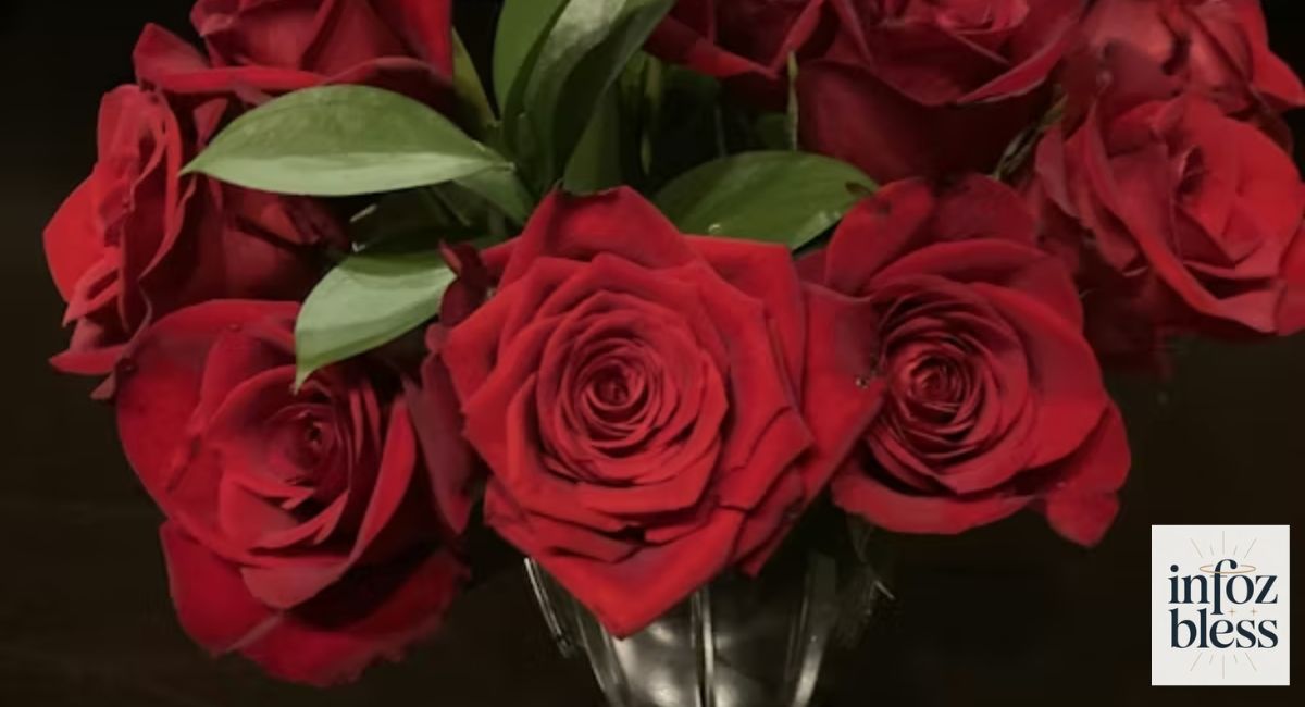 Heartfelt Valentine Messages from Dad