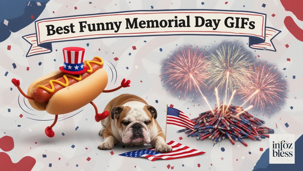 Best Funny Memorial Day GIFs for Social Media