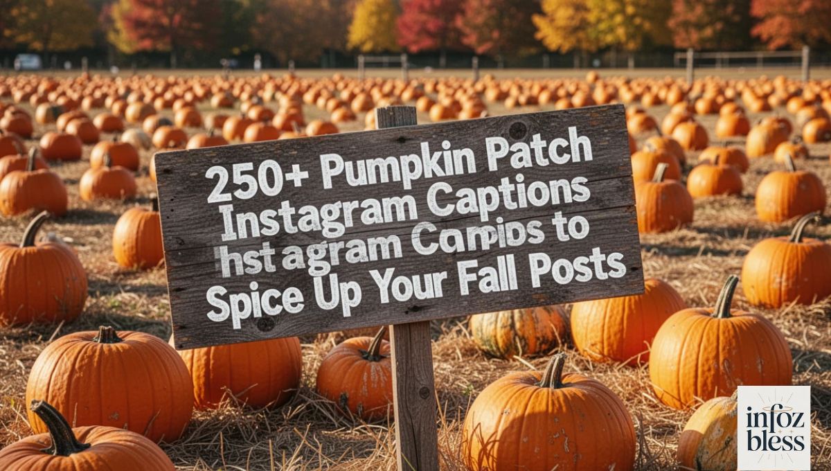 250+ Pumpkin Patch Instagram Captions to Spice Up Your Fall Posts